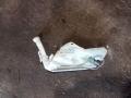 Бачок омывателя лобового стекла 9628747480 643195  PEUGEOT 206