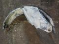 Локер передний правый 8200156693 RENAULT KANGOO 01.03-01.08 Локер передний правый 8200156693 RENAULT KANGOO 01.03-01.08