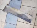 Накладка порога для KIA MAGENTIS 01-05 | Киа  купить в Санкт-Петербурге или с доставкой по России.  877623C000XX 