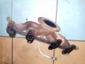 Коллектор выпускной 1002805 FORD FIESTA 96-8.99 Коллектор выпускной 1002805 FORD FIESTA 96-8.99