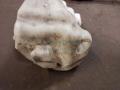 Бачок омывателя лобового стекла 8200104705 8200104706 RENAULT MEGANE 2 06-09 Бачок омывателя лобового стекла 8200104705 8200104706 RENAULT MEGANE 2 06-09