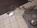 Бак топливный 1102022  FORD FOCUS 98-