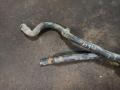 Патрубок нижний 800299725B RENAULT CLIO SYMBOL 01-08