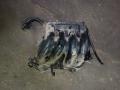 Коллектор впускной 0361J3 PEUGEOT 206 Коллектор впускной 0361J3 PEUGEOT 206