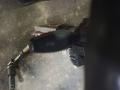 Переключатель подрулевой в сборе 98AG17A553AC 1093426 98AG13335A FORD FOCUS 98- Переключатель подрулевой в сборе 98AG17A553AC 1093426 98AG13335A FORD FOCUS 98-