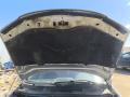 Капот 51743566 FIAT ALBEA 05- Капот 51743566 FIAT ALBEA 05-
