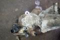 ТНВД 8200456693 8200108225 RENAULT MEGANE 2 03-06